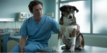 Na Pele do Paciente: Veterinários que Sofrem com a Dor dos Animais