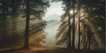 Bioconsciência Florestal: Um Sistema Natural de Alerta Antecipado